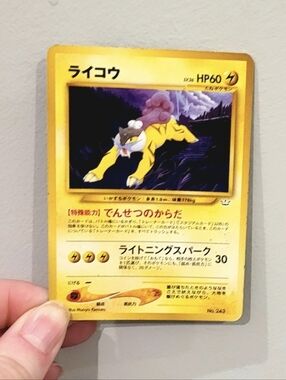 Raikou Pokemon Card